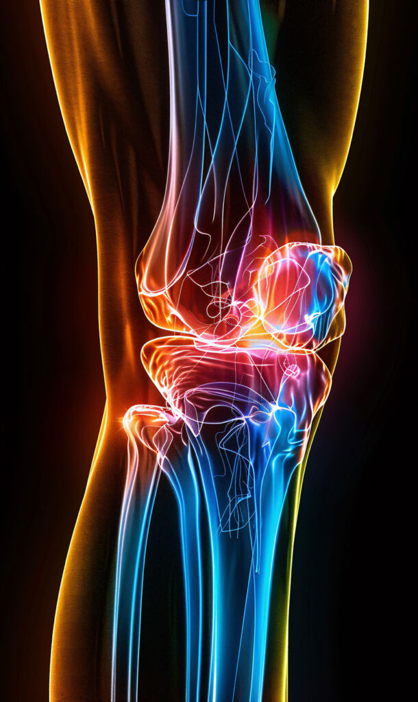 Lower Back Pain Treatment physiotherapy treatment